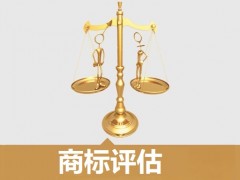 商標(biāo)的價(jià)值評(píng)估，新手賣(mài)家必看