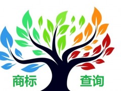 如何應(yīng)對(duì)商標(biāo)查詢盲期？